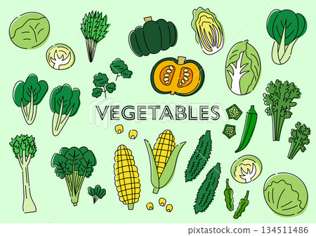 蔬菜手繪插圖集 134511486