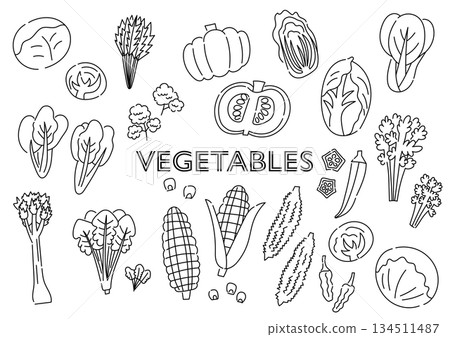 Black and white vegetable hand drawn illustration set 134511487