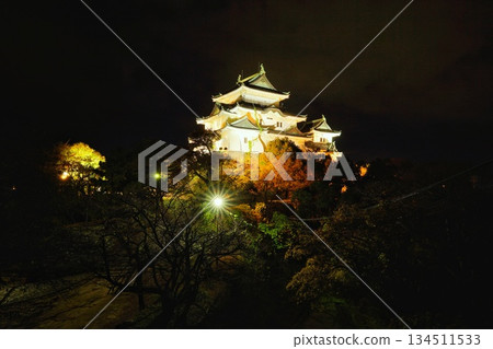 和歌山城（和歌山縣）的秋景 134511533
