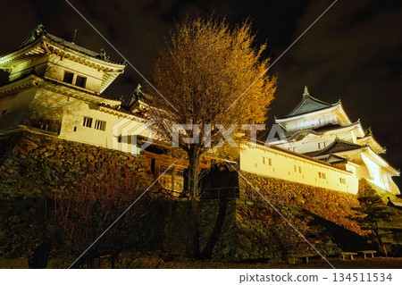 和歌山城(和歌山縣)的秋景 和歌山城(和歌山縣)的秋景 134511534