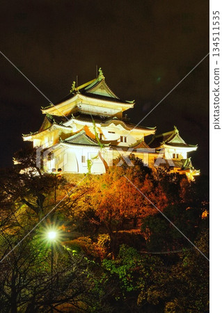 Autumn view of Wakayama Castle (Wakayama Prefecture) 134511535