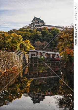 Autumn view of Wakayama Castle (Wakayama Prefecture) 134511539