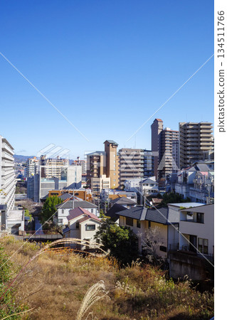 Takarazuka distant view 134511766