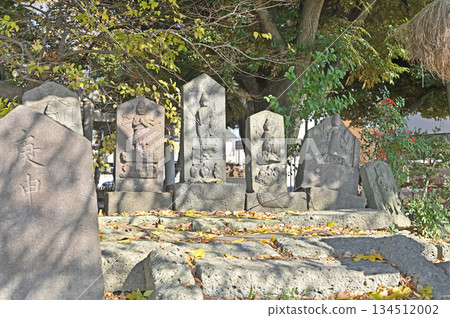 Walking around Koshigaya - Jodo Sect Tengakuji Temple, Tengakuji Stone Pagoda Group, Koshigaya City Walking around Koshigaya - Jodo Sect Tengakuji Temple, Tengakuji Stone Pagoda Group, Koshigaya City 134512002