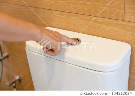 Senior woman's hand pushing button and flushing toilet in bathroom. 134512024