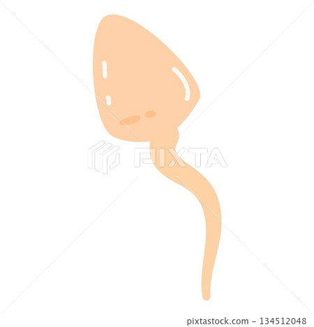 sperm and egg character. human sperm and egg 134512048