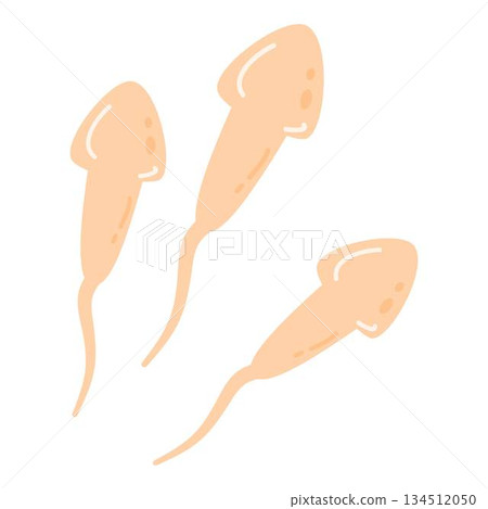 Sperm Cells Fertilizing an Egg Cell icon 134512050