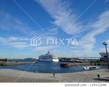 Elephant's Nose Park and the luxury cruise ship Asuka 3 Elephant's Nose Park and the luxury cruise ship Asuka 3 134512096