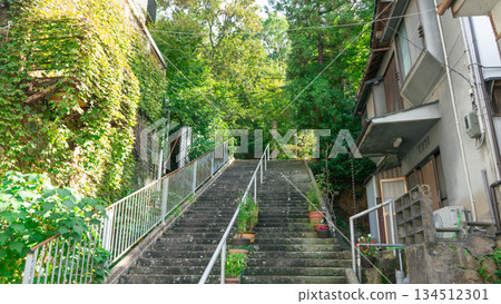 A staircase with a lively feel, surrounded by greenery in a residential area A staircase with a lively feel, surrounded by greenery in a residential area 134512301