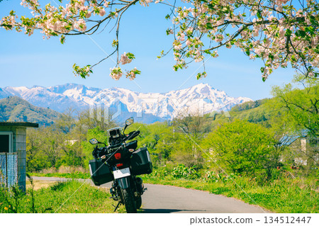 櫻花、雪山和摩托車 134512447