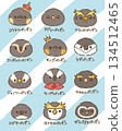 Penguin gathering 134512465