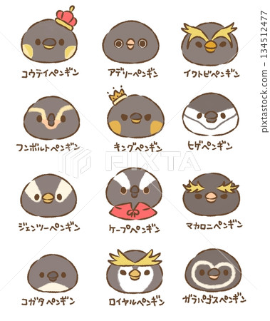 企鵝聚集，無背景 134512477