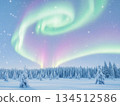 Aurora in the winter sky 134512586