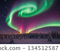 Aurora in the winter sky 134512587