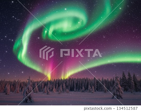 Aurora in the winter sky Aurora in the winter sky 134512587