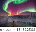 Aurora in the winter sky 134512588