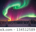 Aurora in the winter sky 134512589
