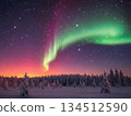 Aurora in the winter sky 134512590