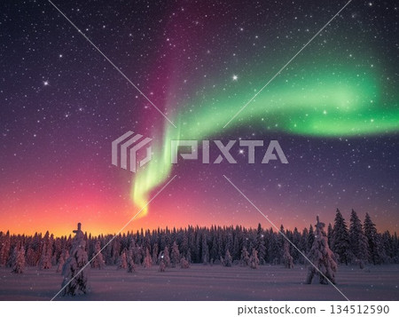 Aurora in the winter sky 134512590