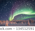 Aurora in the winter sky 134512591