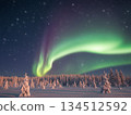 Aurora in the winter sky 134512592