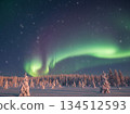 Aurora in the winter sky 134512593