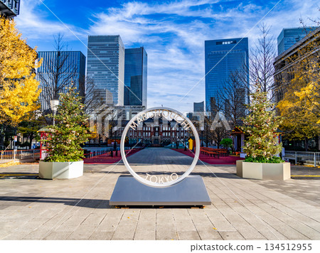 Tokyo Station Marunouchi Building District 134512955