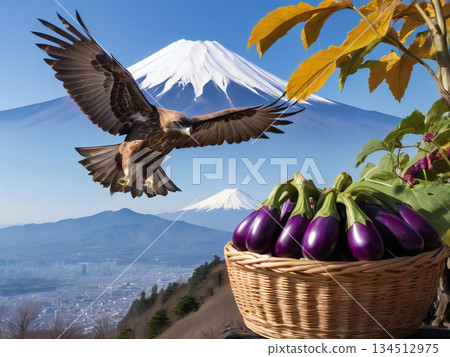Fuji, a hawk, and an eggplant 134512975