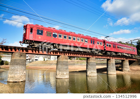 大池遊樂園（貴志川線、梅干列車）[和歌山縣紀之川市] 134512996