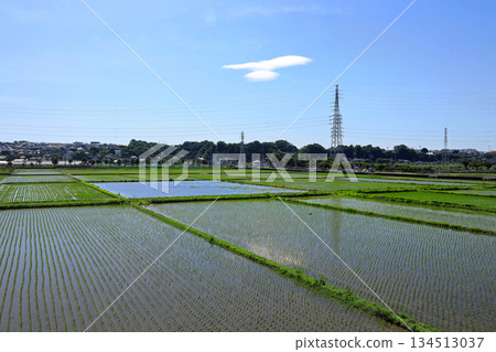 The four seasons of Ebina's countryside The four seasons of Ebina's countryside 134513037