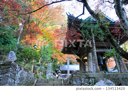 大遊山西丈寺的秋葉美景 大遊山西丈寺的秋葉美景 134513420