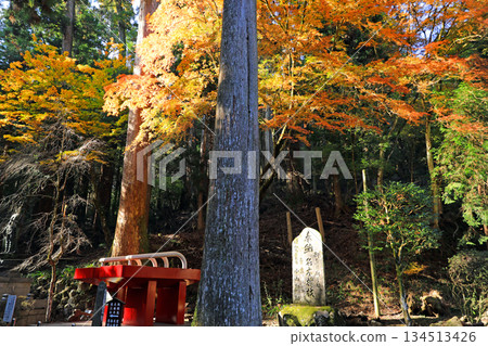 大遊山西丈寺的秋葉美景 大遊山西丈寺的秋葉美景 134513426