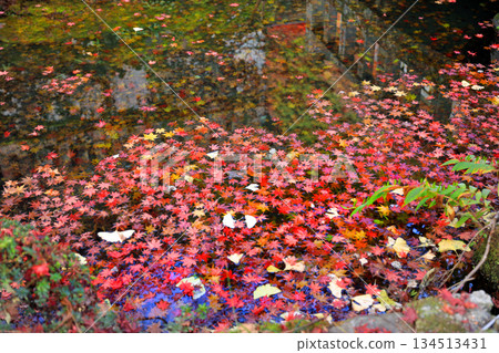 大遊山西丈寺的秋葉美景 134513431