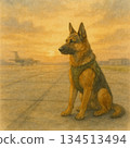 Military work dog Mamoru Waiting for Life｜Training ground watercolor painting 134513494