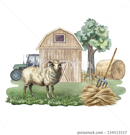 Farmyard. Hand-drawn watercolor illustration. Sheep in an agricultural yard, barn, hay, and tractor. Concept of the agricultural and livestock industry. Design element for banners, labels, postcards. 134513517