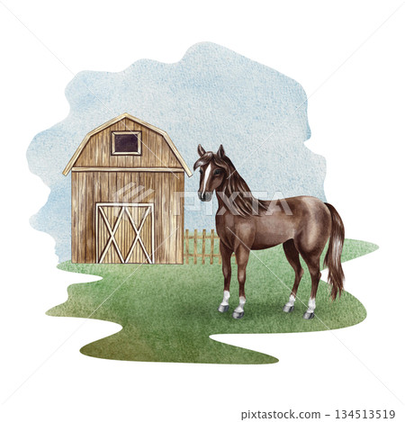 Farmyard. Hand-drawn watercolor illustration. Barn and horse. Concept of the agricultural industry. Design element for banners, labels, postcards, and more Farmyard. Hand-drawn watercolor illustration. Barn and horse. Concept of the agricultural industry. Design element for banners, labels, postcards, and more 134513519