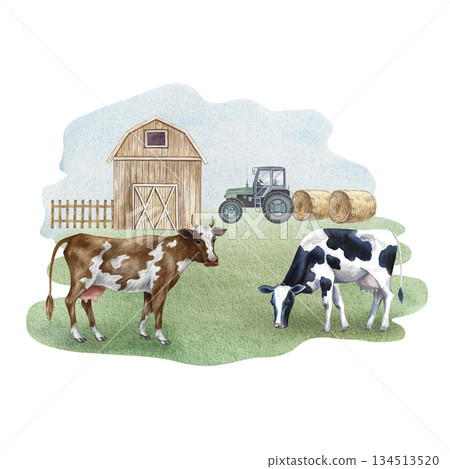 Farmyard. Hand-drawn watercolor illustration. Grazing cows on a farm. Concept of the livestock industry. Design element for banners, labels, postcards, and more. Farmyard. Hand-drawn watercolor illustration. Grazing cows on a farm. Concept of the livestock industry. Design element for banners, labels, postcards, and more. 134513520