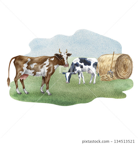 Grazing cows in a field. Hand-drawn watercolor illustration. Perfect for dairy farms or agricultural projects. Also suitable for labels, packaging, banners, and more. Grazing cows in a field. Hand-drawn watercolor illustration. Perfect for dairy farms or agricultural projects. Also suitable for labels, packaging, banners, and more. 134513521