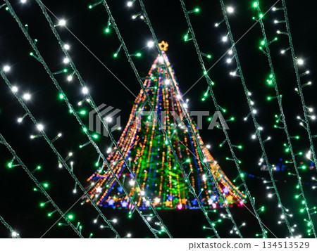 浪漫的聖誕燈飾 134513529