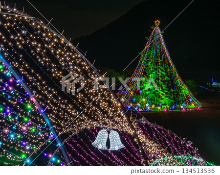 浪漫的聖誕燈飾 134513536