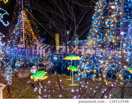 Romantic Christmas illuminations 134513546