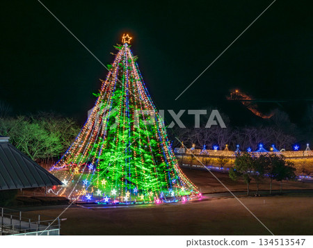 浪漫的聖誕燈飾 134513547