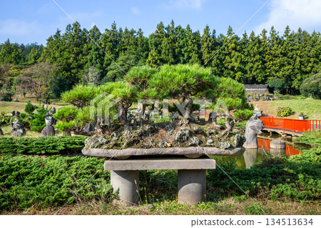 Jeju Island Art Land Fountain Park Jeju Island Art Land Fountain Park 134513634