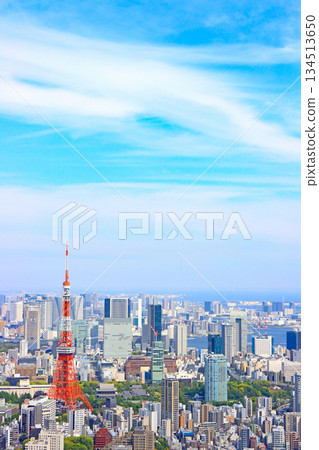 東京鐵塔風景與東京都會風景,東京港區 東京鐵塔風景與東京都會風景,東京港區 134513650