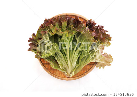 新鮮陽光生菜 134513656