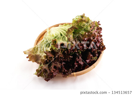 新鮮陽光生菜 134513657