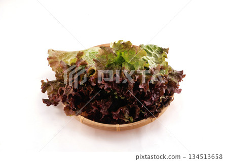 新鮮陽光生菜 新鮮陽光生菜 134513658