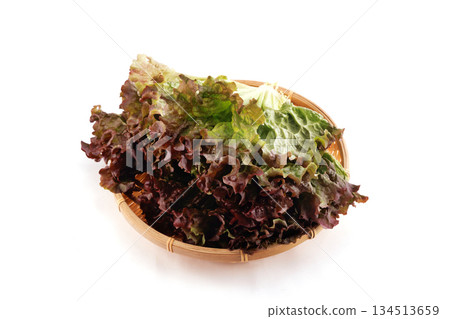 Fresh sunny lettuce Fresh sunny lettuce 134513659