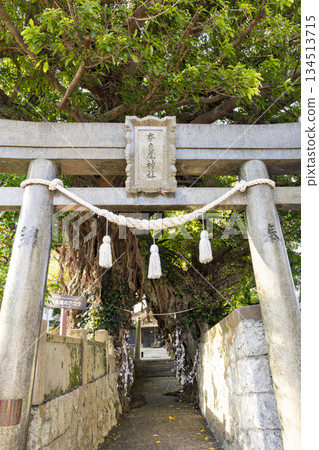 長崎縣新上吾町奈良尾神社及巨型赤穗樹（國家指定天然紀念物） 134513715