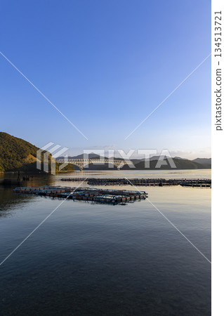 長崎縣新上五町的若松橋和養殖筏在晨光的照耀下熠熠生輝 134513721